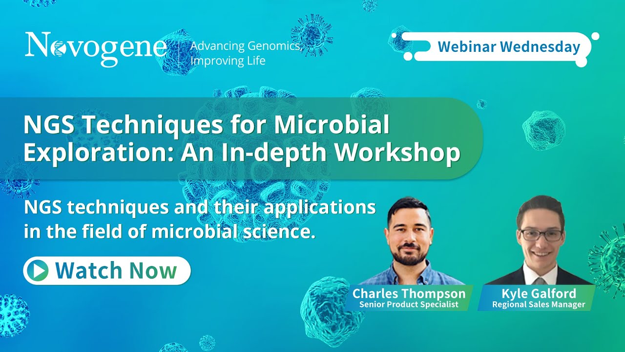 3. Shotgun Metagenomics Sequencing