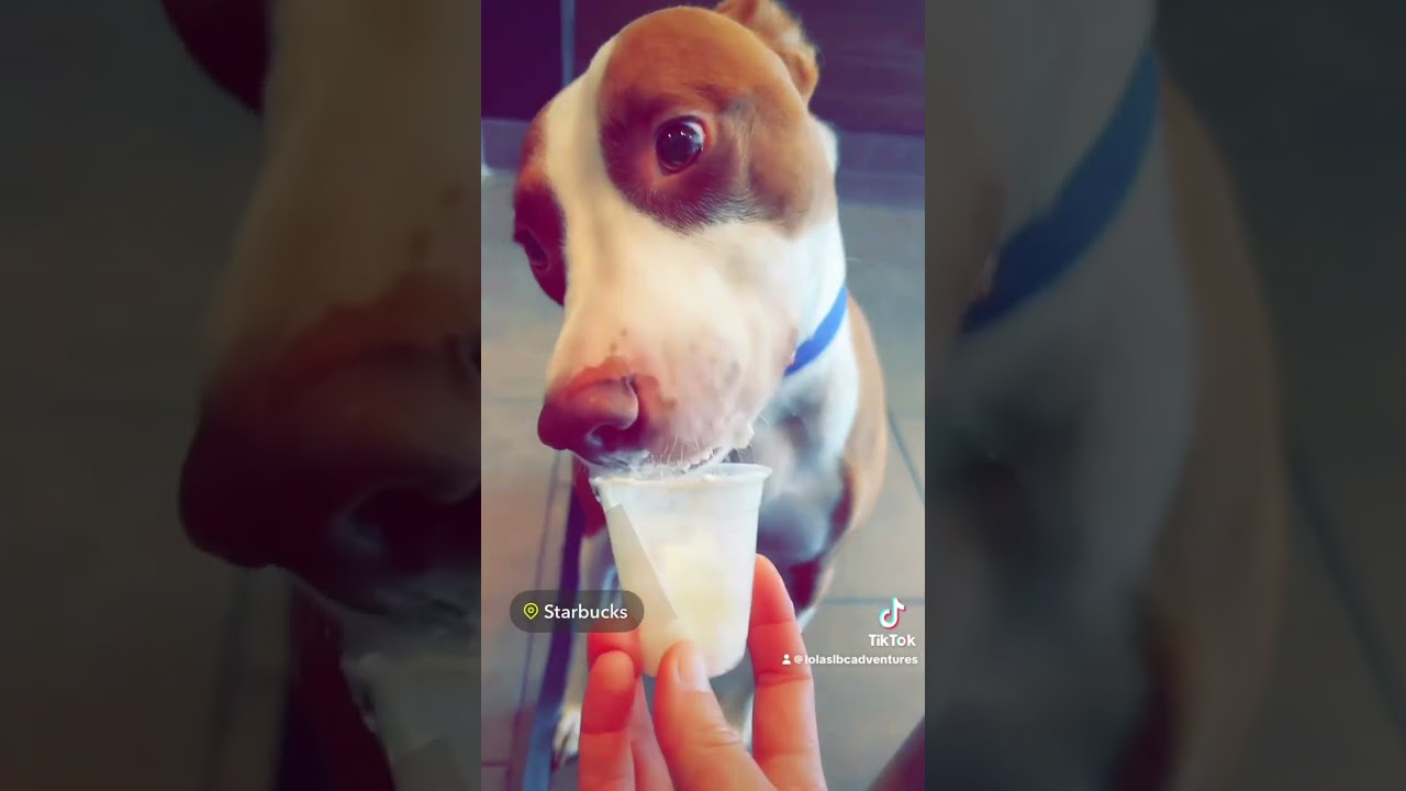 Sweet treat time 