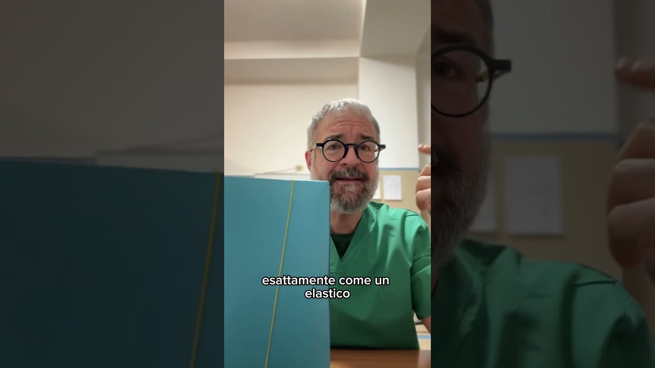 Lo #sturalavandini