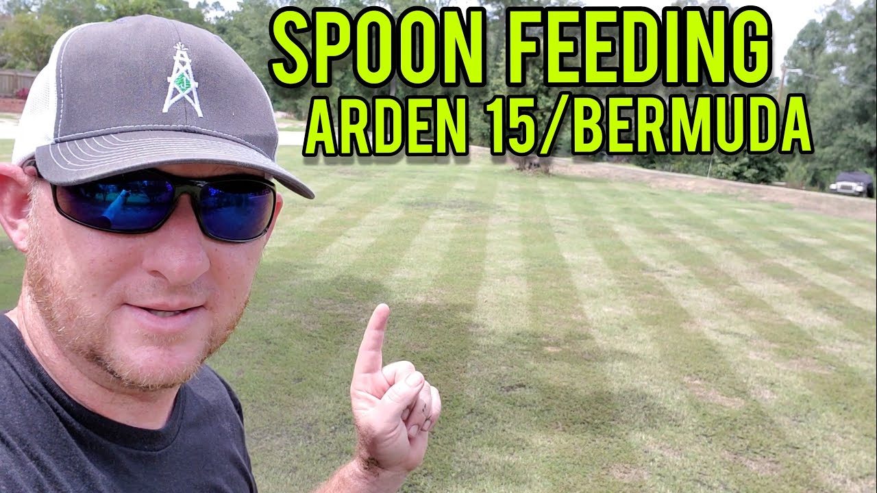 Spoon Feeding Arden 15 Bermuda - Liquid fertilizer