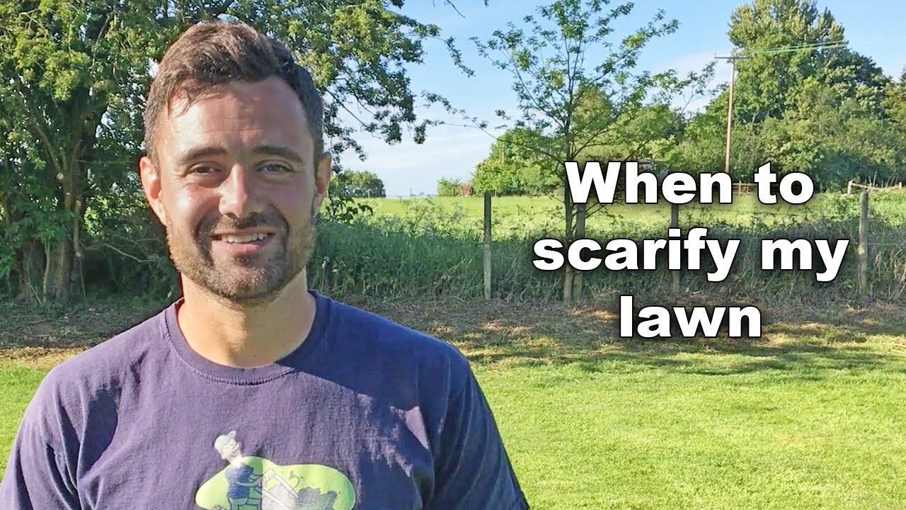 When to scarify my lawn