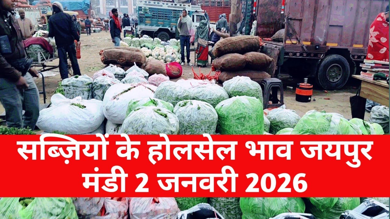 2 जनवरी 2026 सब्जियों का भाव | जयपुर सब्जी भाव | सब्ज़ियों के भाव जयपुर / vegetable market Jaipur