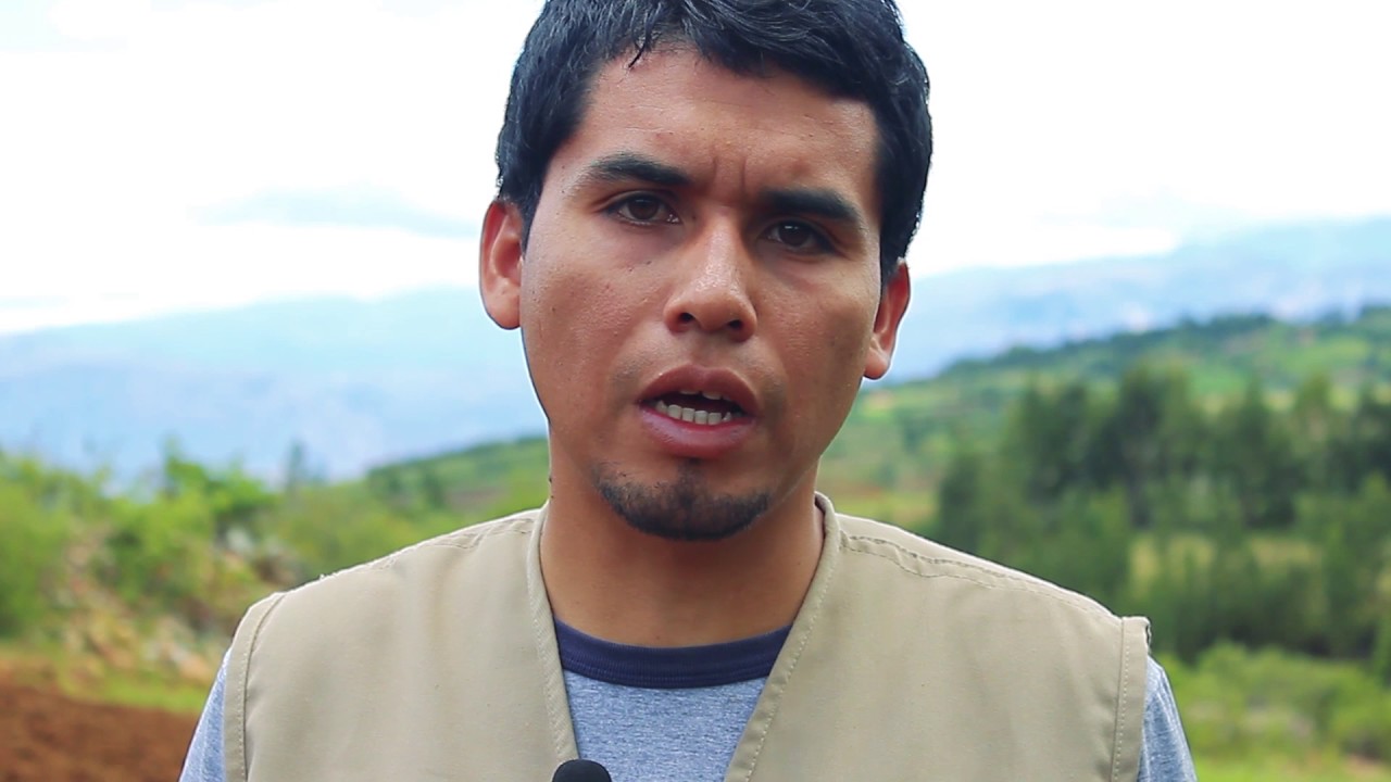 Cultivo Quinua orgánica. Vídeo I: la preparación del terreno y siembra