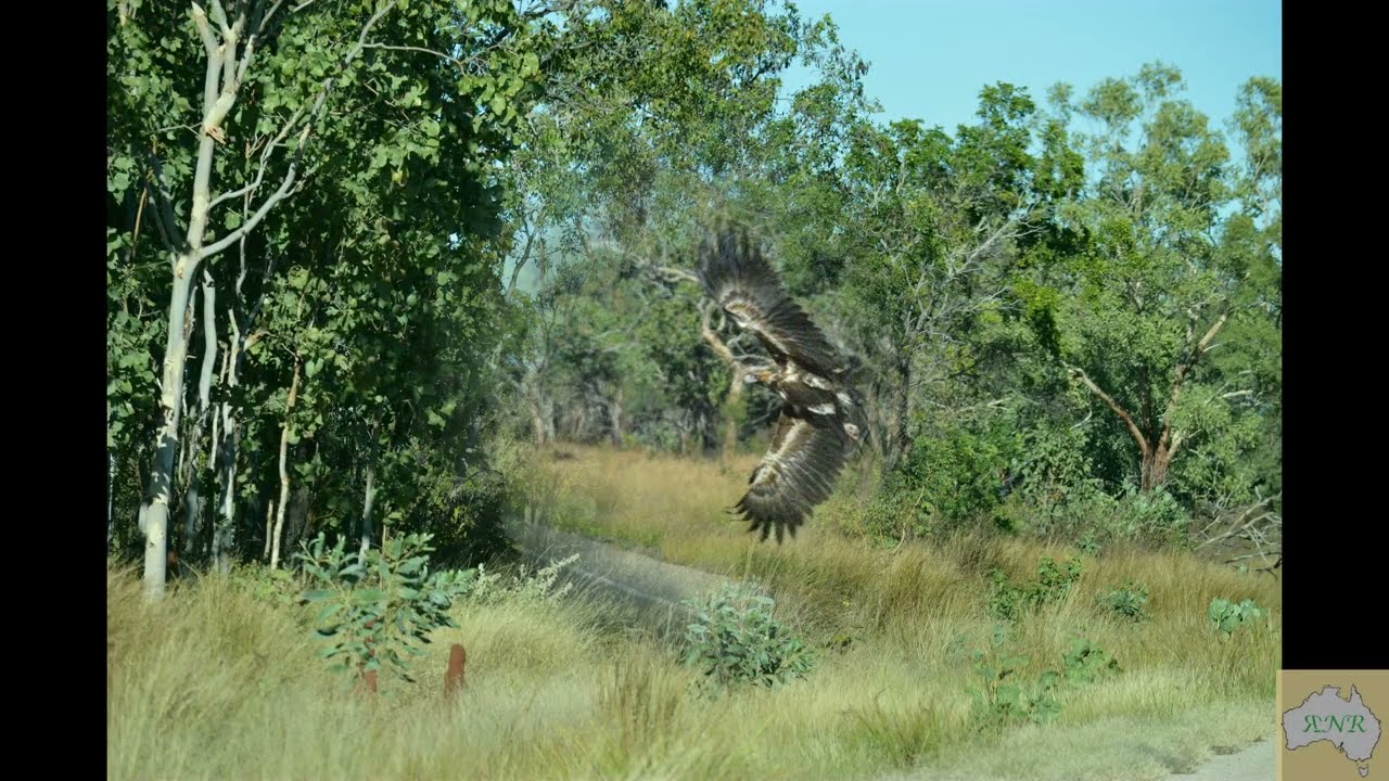 Travel from Katherine  to Kununurra via Victoria River Roadhouse and Timber Creek.
