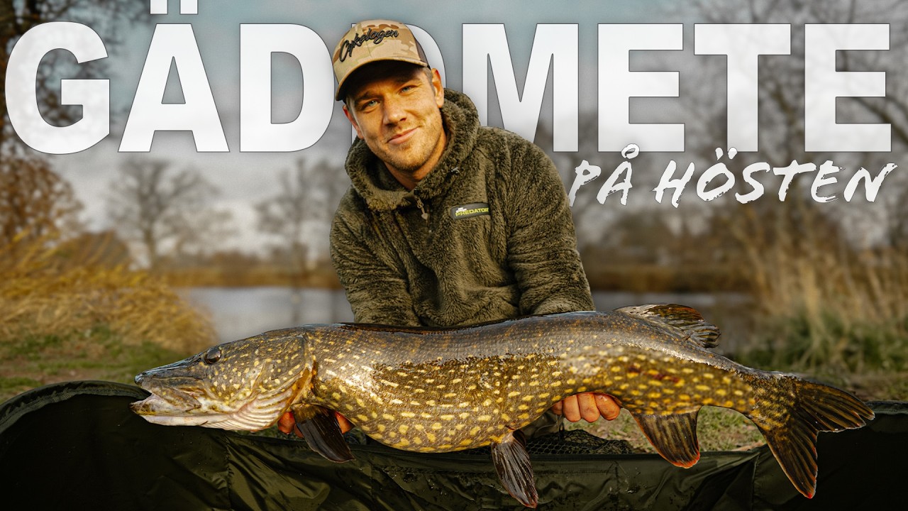 Höstens gäddmete – allt du behöver veta! 🐊🍂