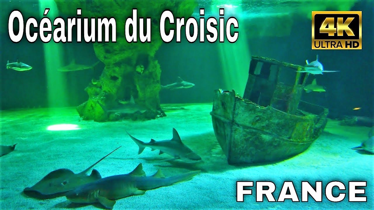 【4K】🇫🇷Oc&eacute;arium du Croisic - Le Croisic,France 2021