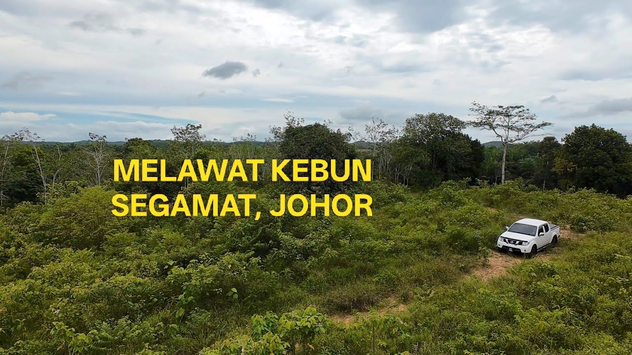 MELAWAT KEBUN I KAMPUNG SAWAH BARU I LABIS I SEGAMAT