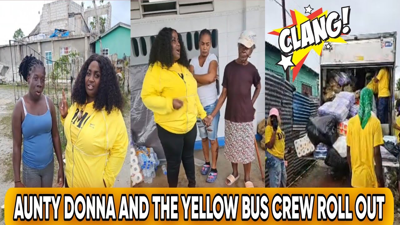 Aunty Donna Roll Out The Yellow Bus Heaters Go Hide One Dmg 