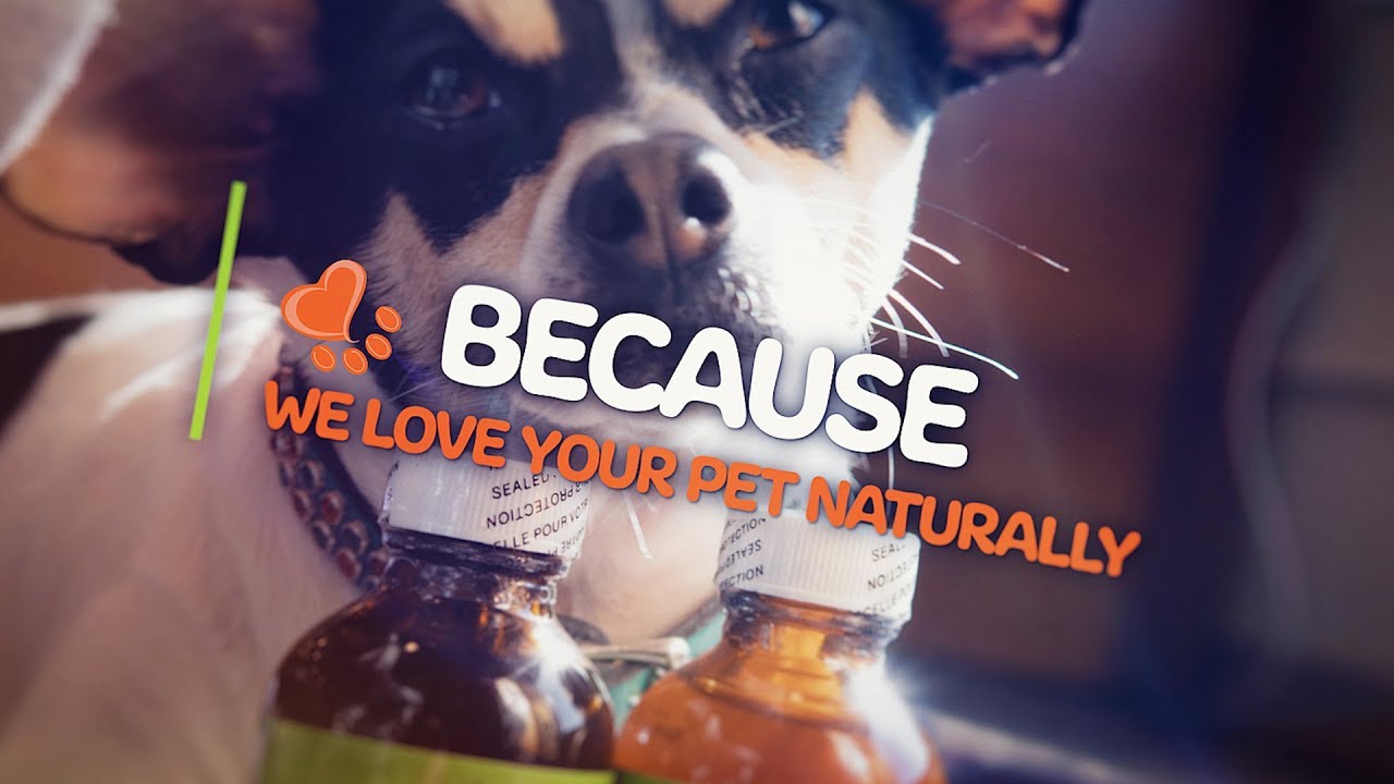NHV Natural Pet Products: We love your pets!