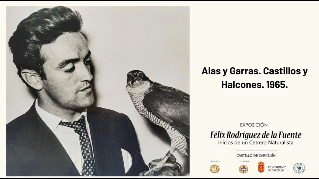 Alas y Garras.  Castillos y Halcones  1965