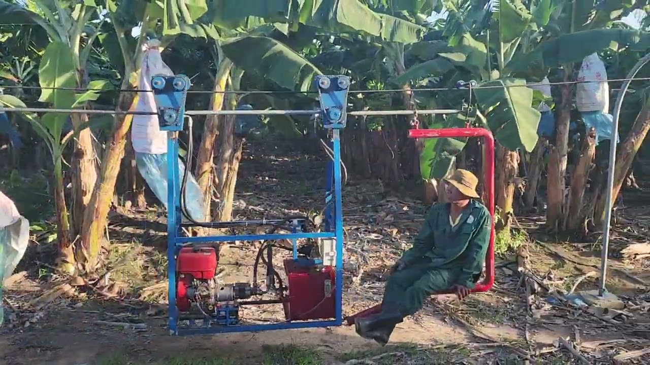 CHẾ TẠO MÁY KÉO CHUỐI, HỆ THỐNG THU HOẠCH CHUỐI LH: 0977192466