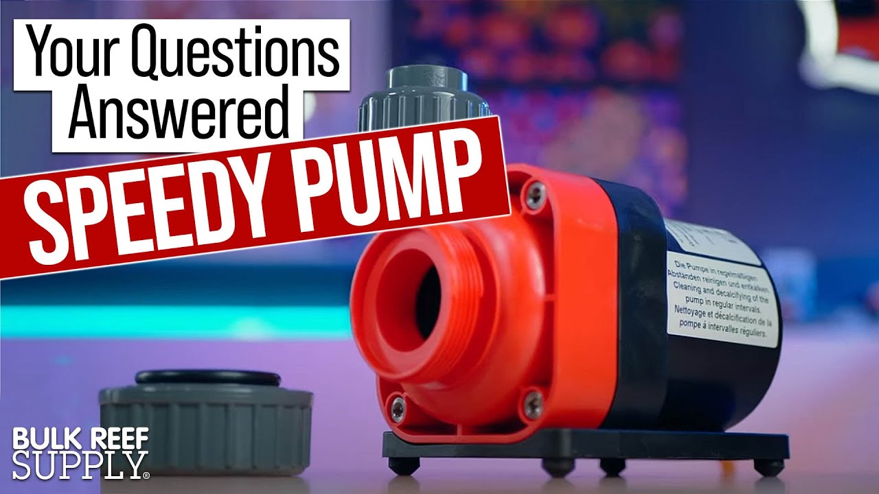 What Makes Royal Exclusiv Red Dragon 3 Speedy Pumps DIFFERENT From Other Aquarium Pumps?