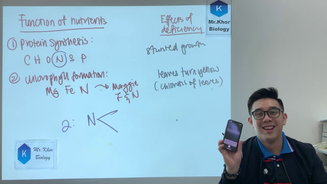 SPM Biology Form 5 Chapter 3 : Nutrition in Plants (part 2)