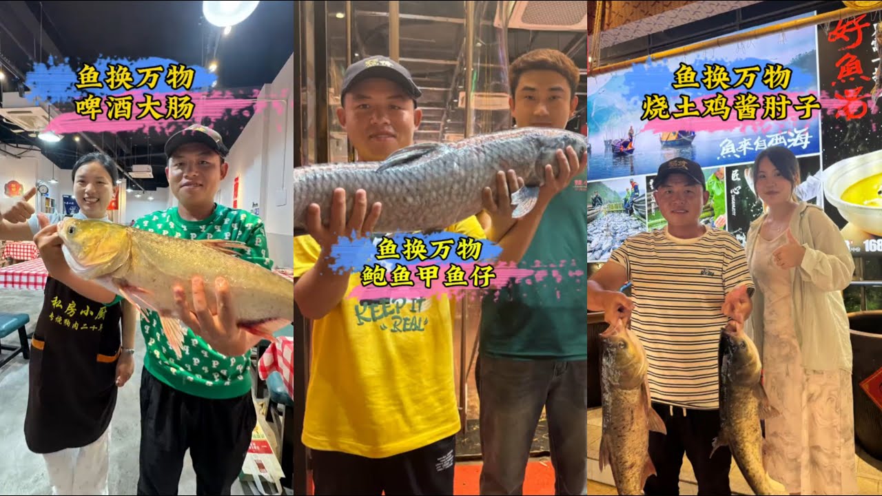 青鱼换鲍鱼，老板说我吃亏不肯要鱼，你们怎么看 | 鱼货换美食 结果老板娘叫我把她店 当自己家一样 | 老板娘问我吃不吃饭 问老板娘能不能不付钱