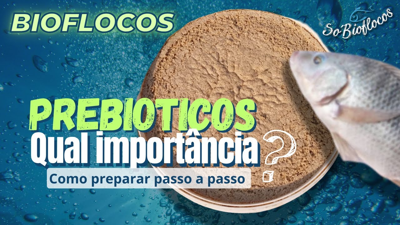 #BIOFLOCOS - Como fazer Prebiotico #Dia7 @SoBioflocos