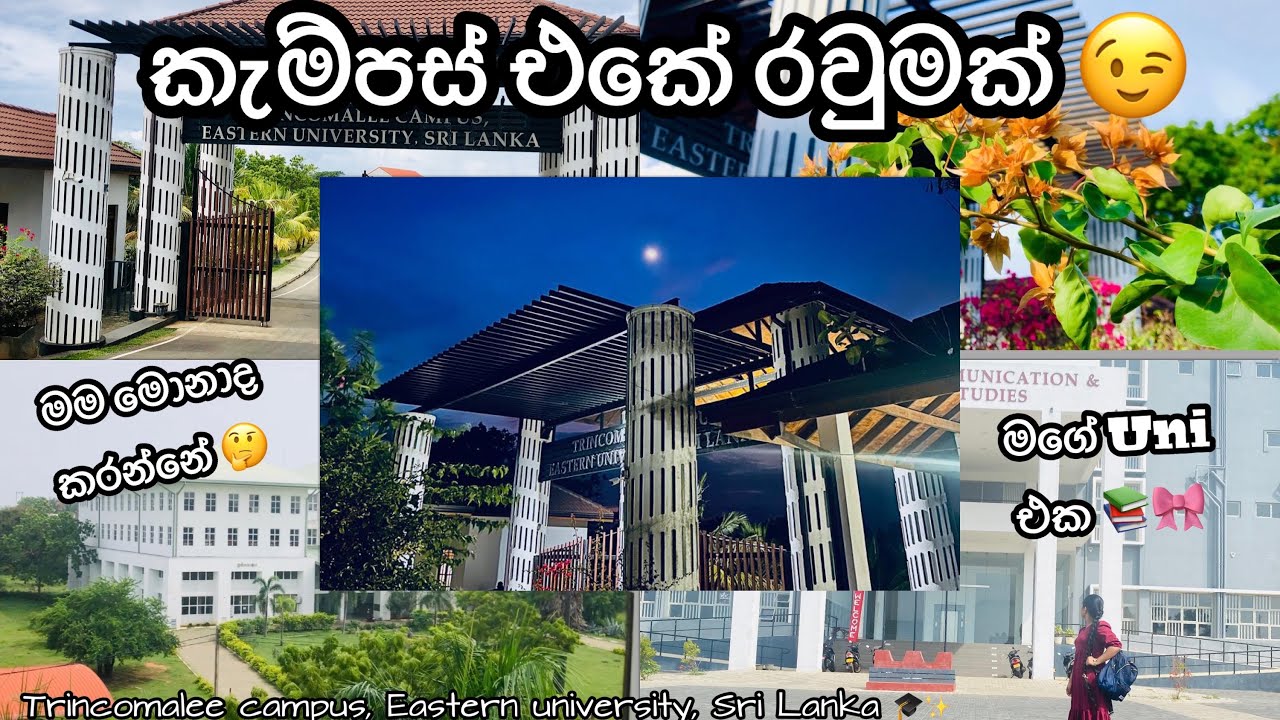 යමු ද මගේ කැම්පස් එකේ රවුමක් ? 📚🎓| Uni tour | මොකක්ද මම කරන degree එක 🤔#univlog#srilanka#study#uni