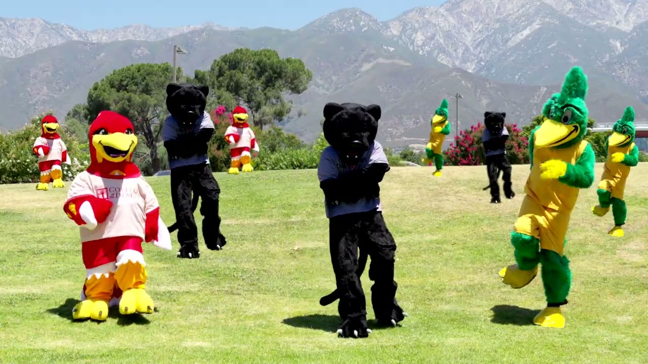 READY Mascots Group Video
