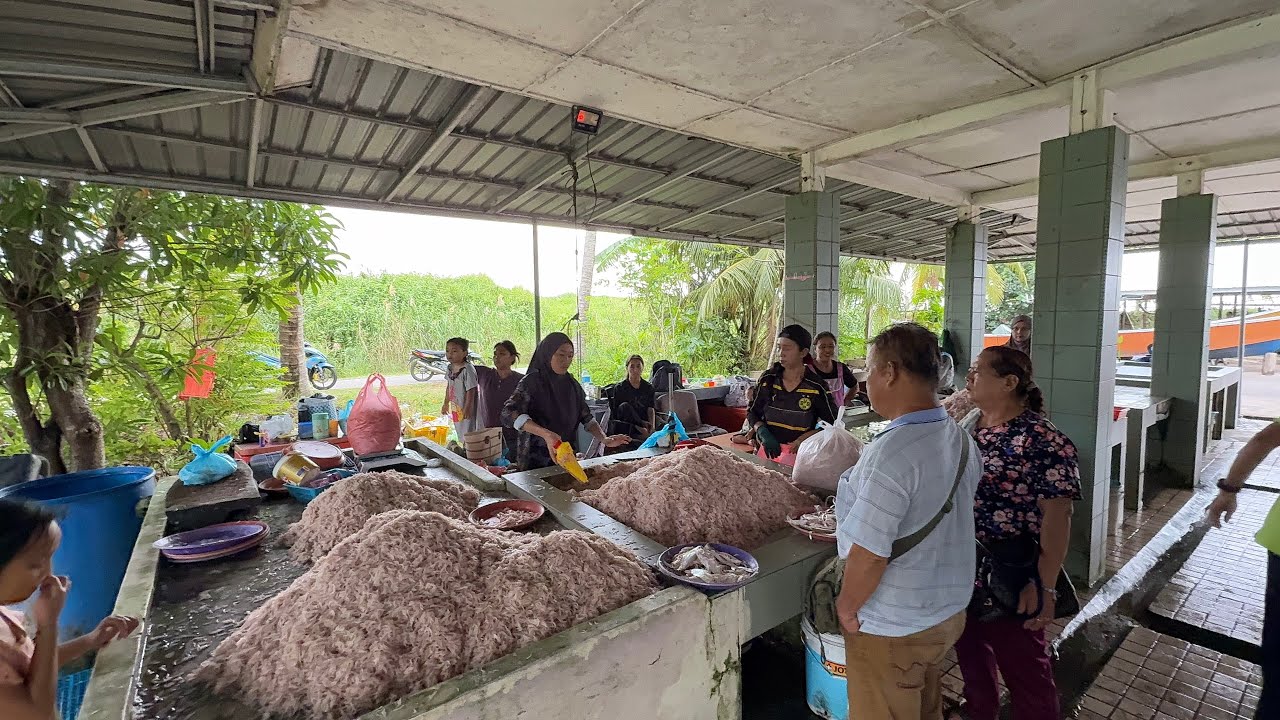 MISI MENCARI BUBUK DI BULAN PUASA//BATU 1 MIRI SARAWAK