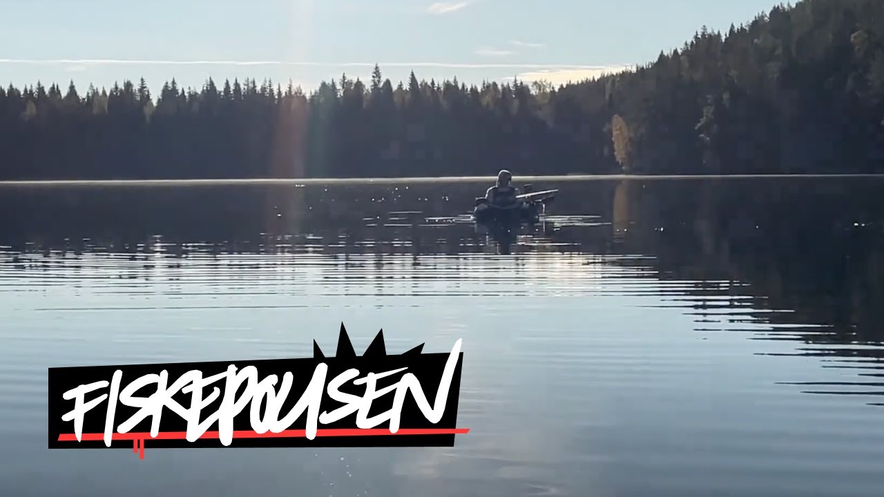 Testar flytringen GUNKI SQUAD
