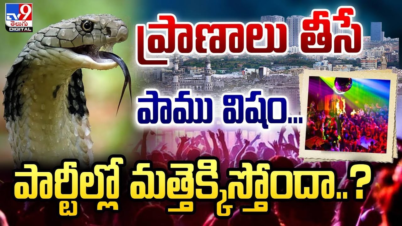 Explainer : ప్రాణాలు తీసే పాము విషం... పార్టీల్లో మత్తెక్కిస్తోందా - ❓ | Snake Venom Addiction - TV9