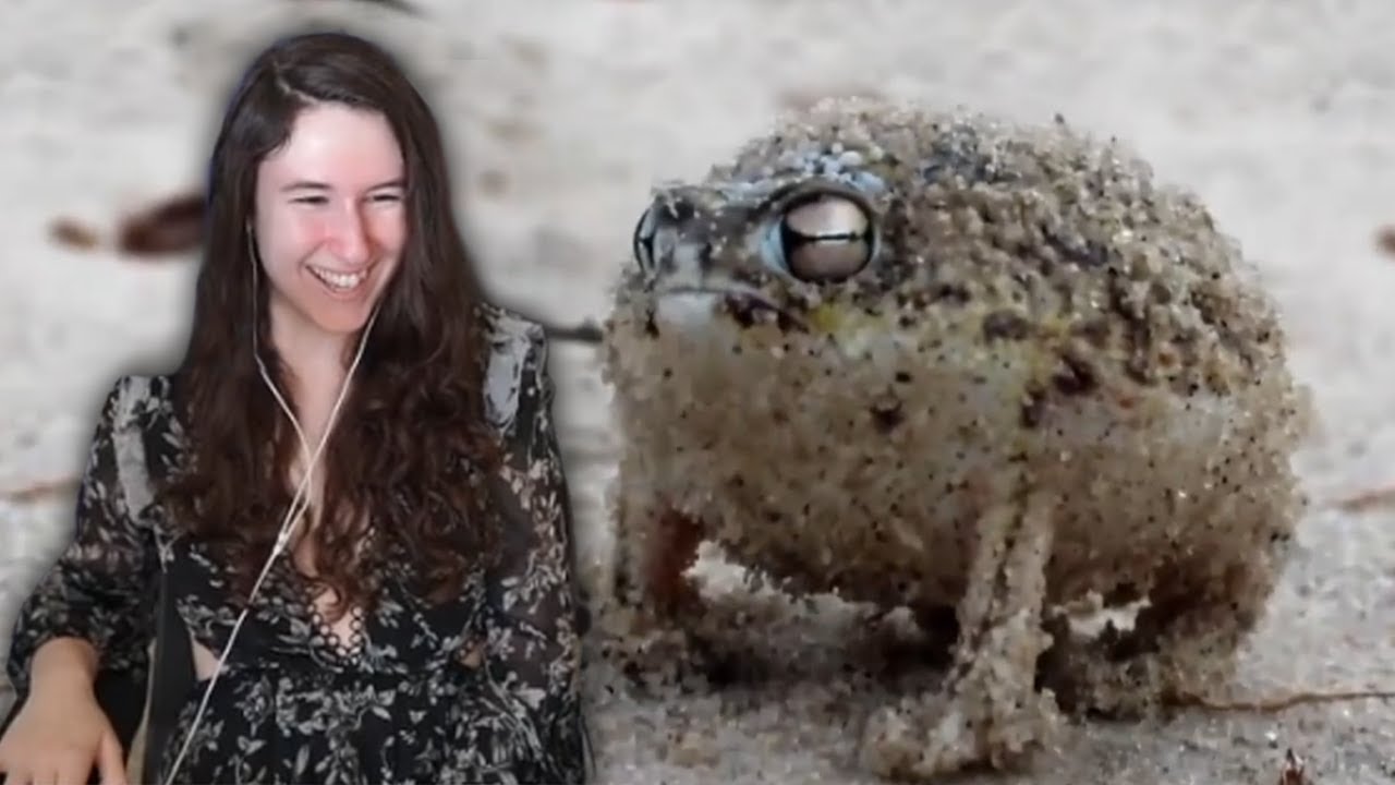 Streamer turned into the weirdest frog