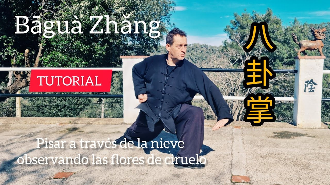 BAGUAZHANG TRADICIONAL TUTORIAL #baguazhang #pakua 