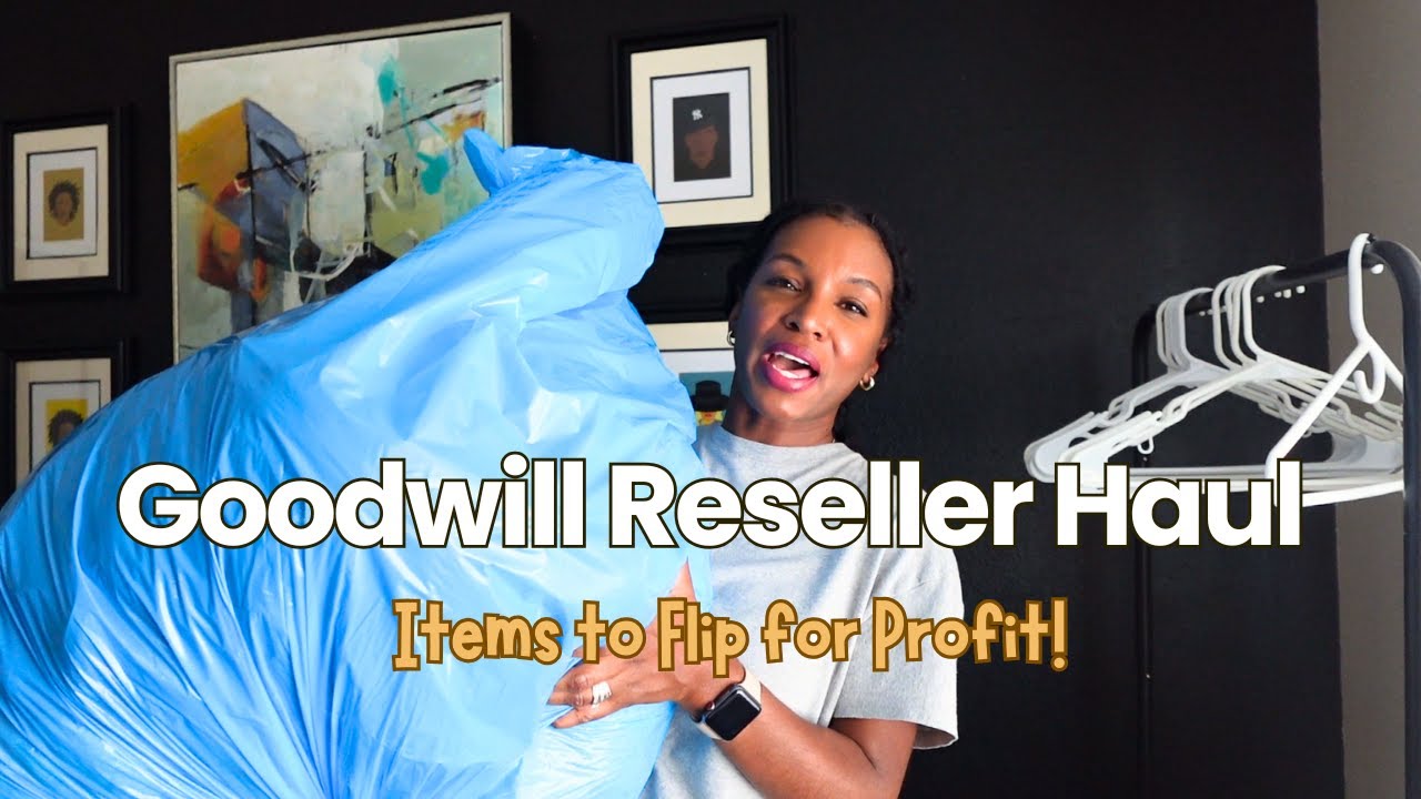 What I Found at the Goodwill Bins Today | Reseller Haul