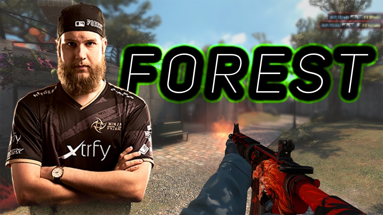 F0REST!