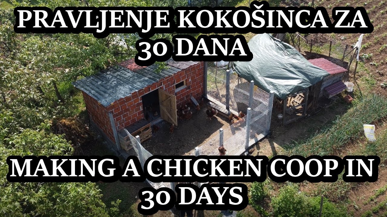 Pravljenje Kokošinca za 30 Dana - Making A Chicken Coop From Scratch in 30 Days