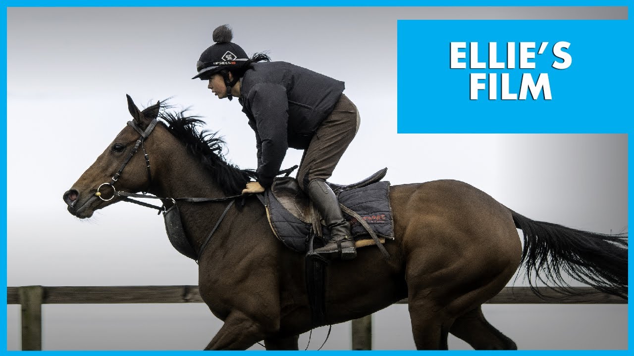 Rebecca Menzies Racing - Ellie