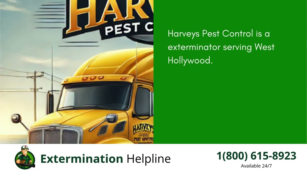 Top 3 Exterminators in West Hollywood