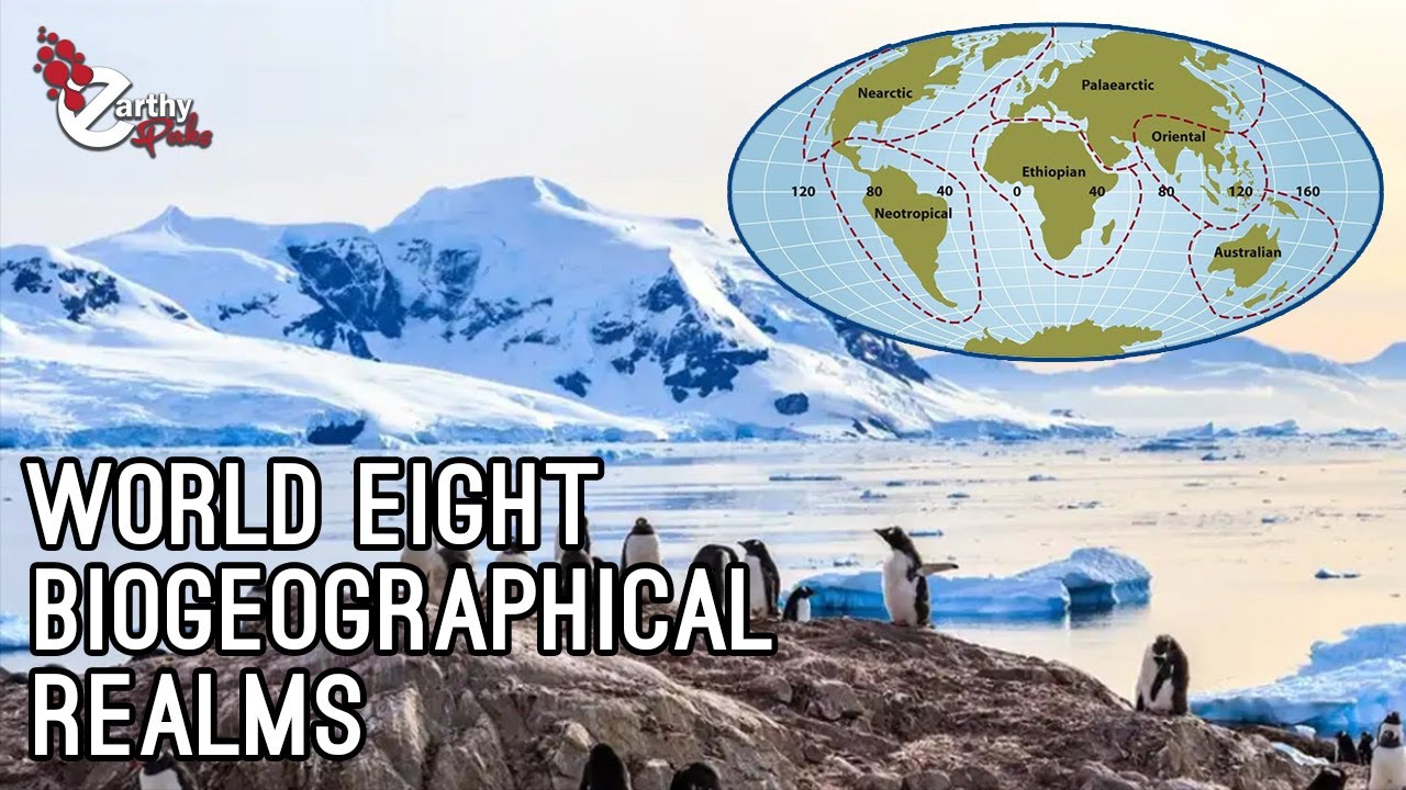 The Eight Biogeographical Realms Around The World
