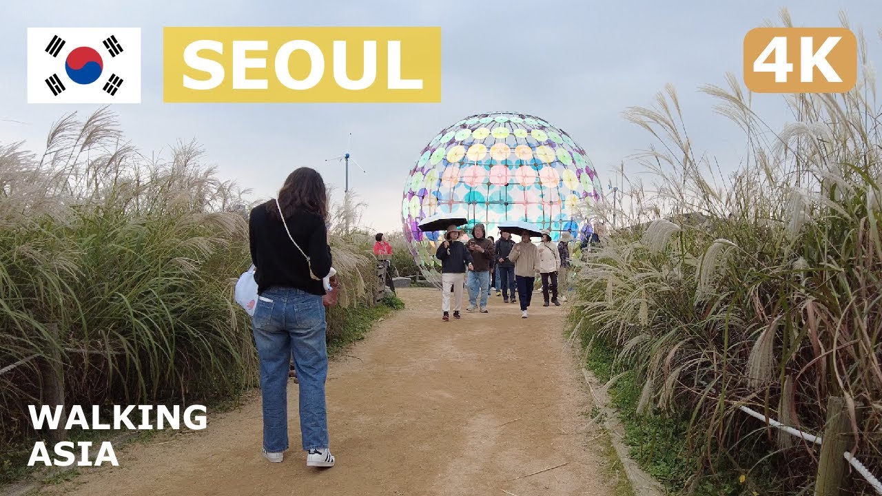 🇰🇷 South Korea, Seoul: From Hapjeong Bus Stop to Haneul Park Autumn Rainy Day Walking Tour - 4K