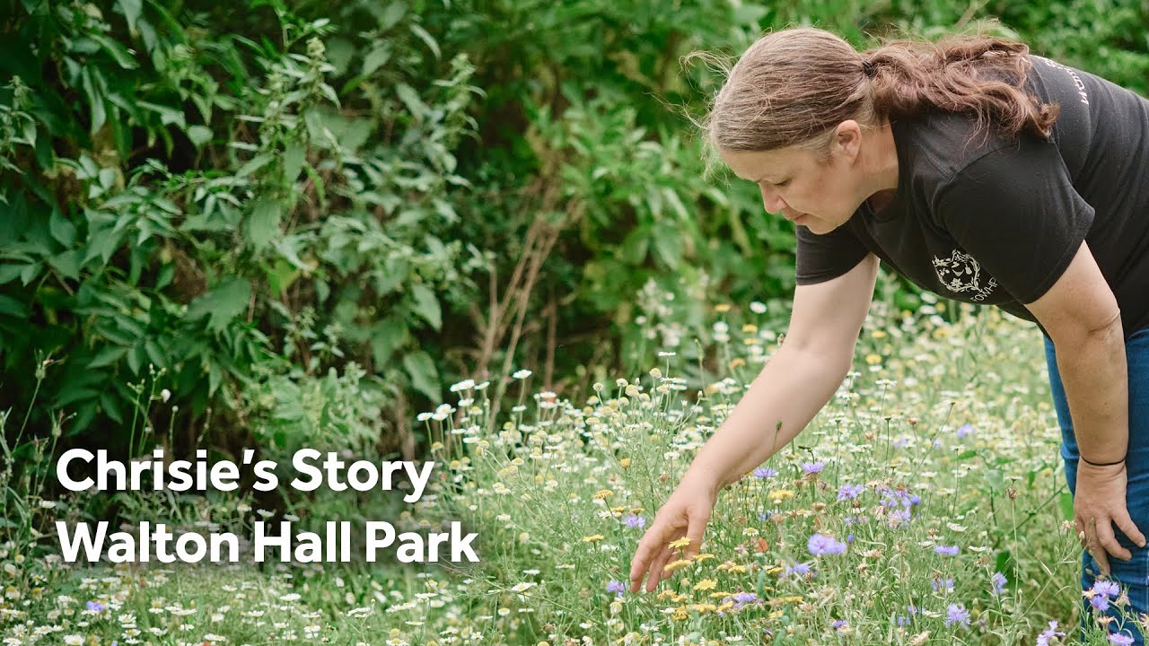 Chrisie's memories were made in Liverpool's Walton Hall Park