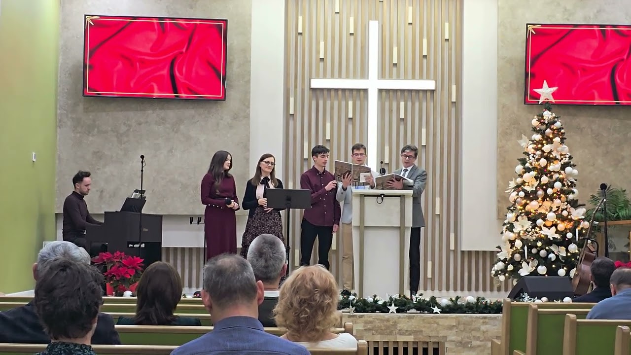 TMBGy - Boros csal&aacute;d szolg&aacute;lata.