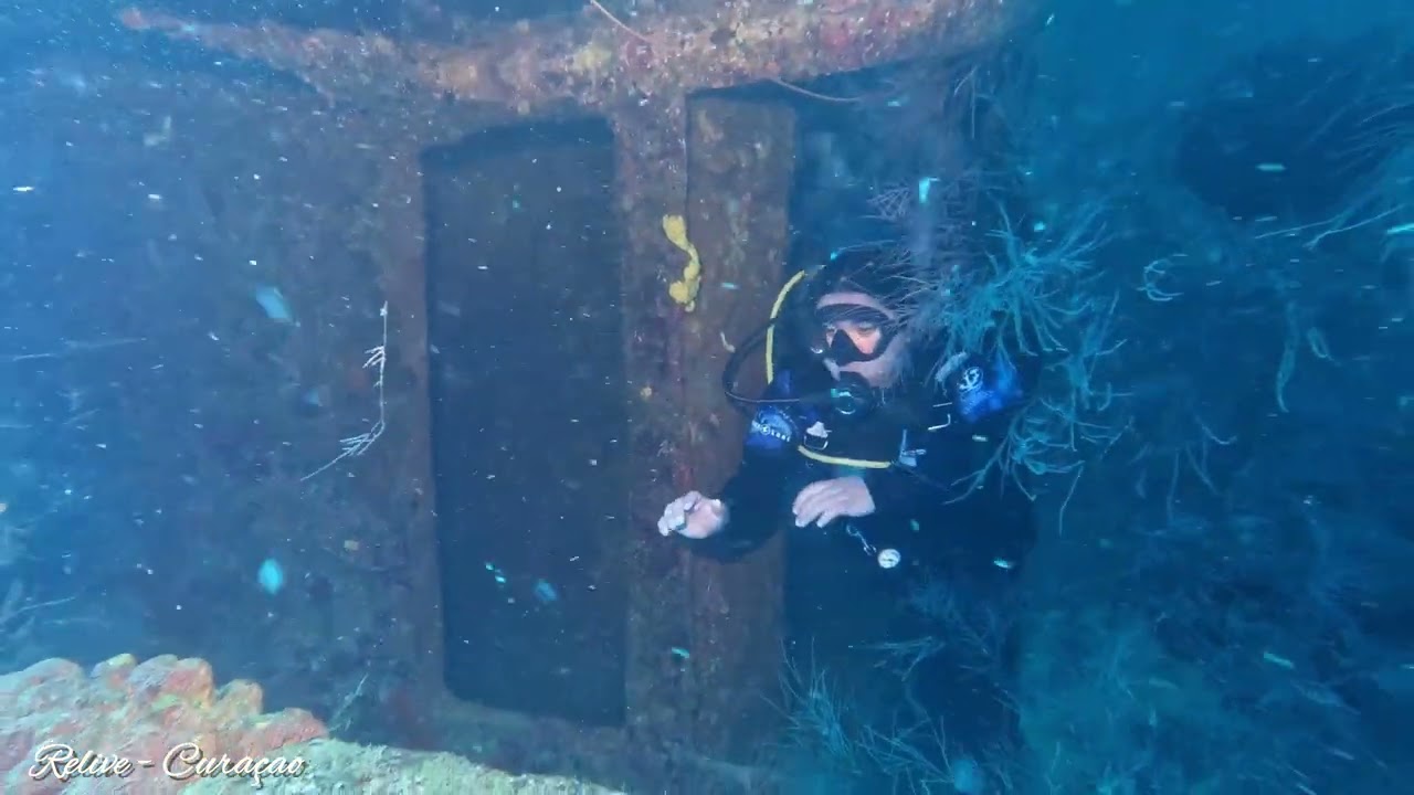 Duik arrangement met Relive Curaçao op Superior Wreck en Double-reef. 4K video of this dive.