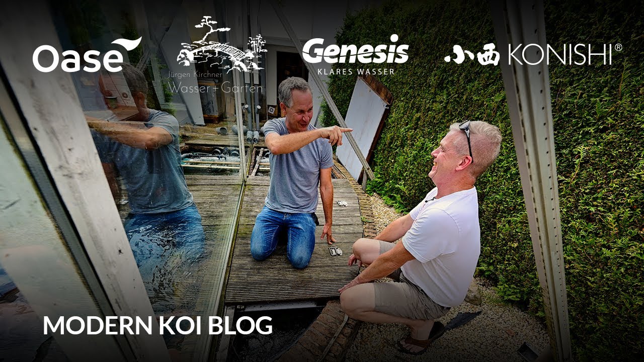 Modern Koi Blog #6359 - Alberts Erfahrungen mit seinem neuen Bürstenfilter