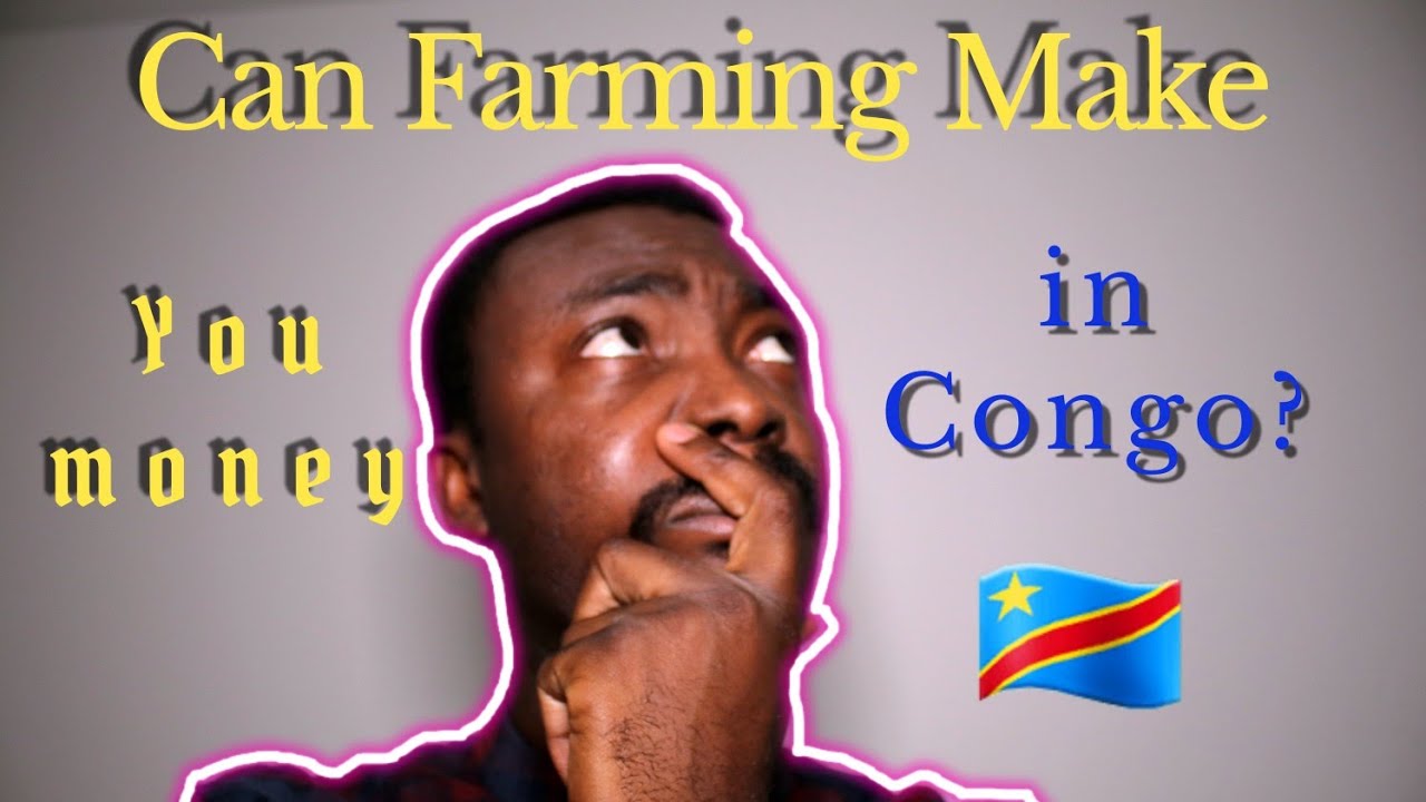 Can You Really Make Serious Money Farming In Congo-Kinshasa? Here Is My Opinion!