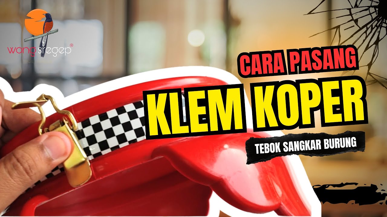 Cara Pasang Klem Koper Sangkar Pleci | Sangkar T3 | Sangkar T2 ‼️