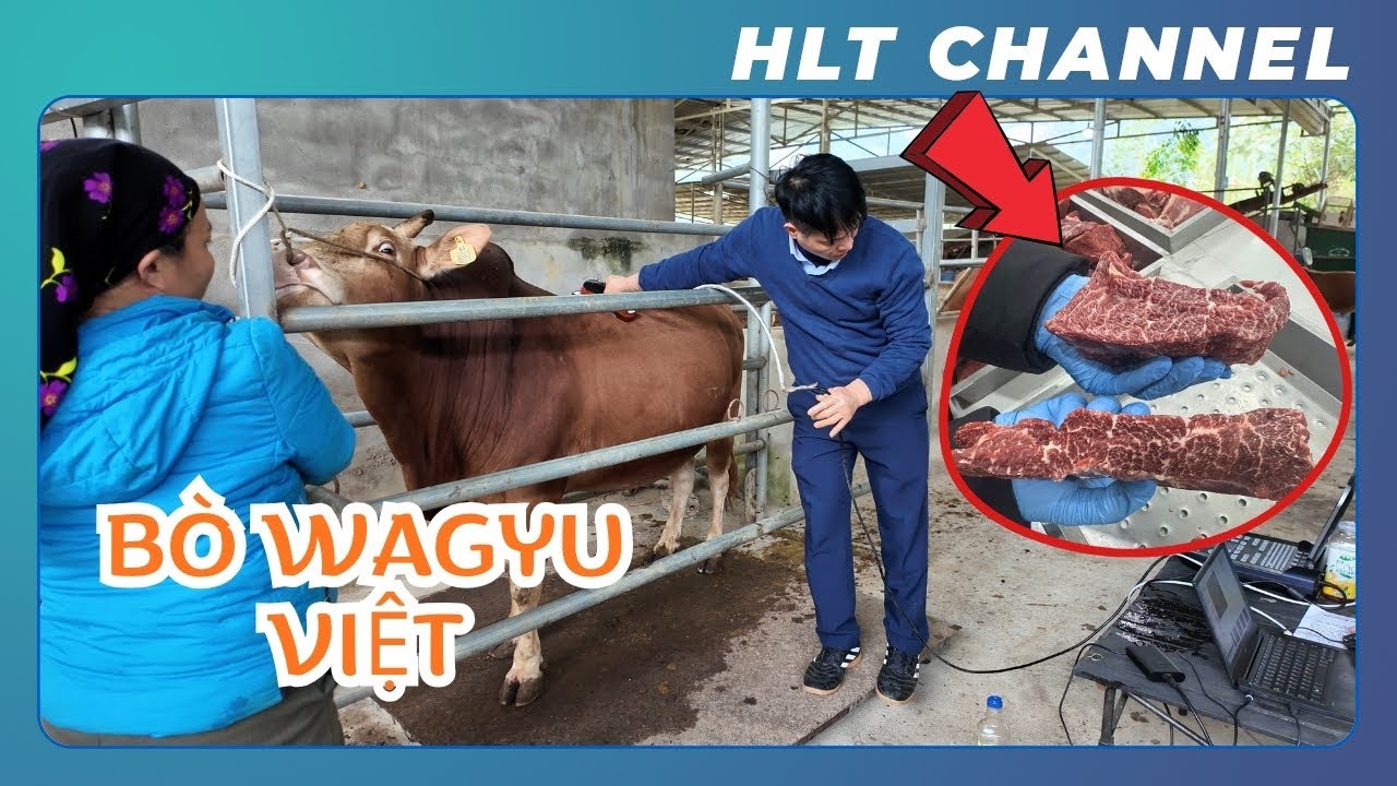 Kiểm Tra Chất Lượng Thịt Dự Án 
