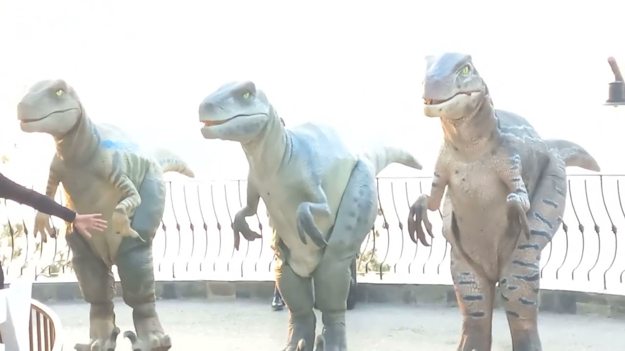 Dinosaurs dance at DinoValley 🦕 #dinovalleyislamabad #dinosaurs #dance #Islamabad #pakistan