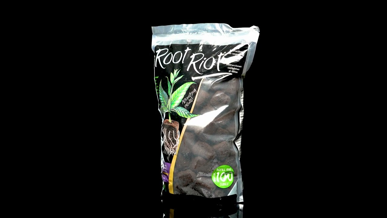 What are Root Riot Starter Plugs?