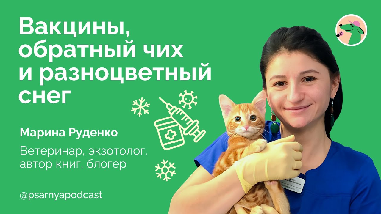Марина Руденко. Вакцины, обратный чих и разноцветный снег #dogs #подкаст #ветеринар #собака