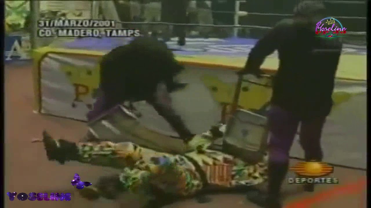 LA BLACK FAMILY VS LOS VATOS LOCOS VS LOS PAYASOS VS LOS VIPERS