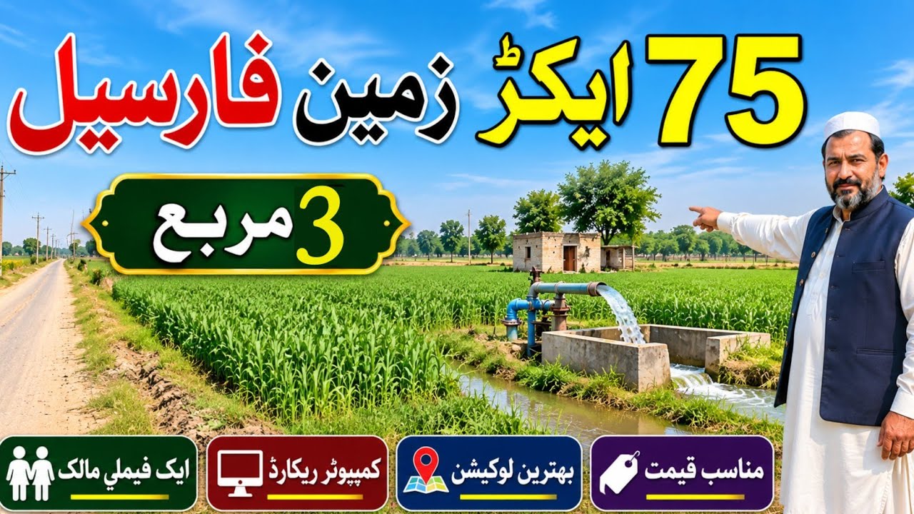 75 Acre Agricultural Land for Sale in Punjab, Pakistan | Cheap Price | Land for Sale | Ep 254