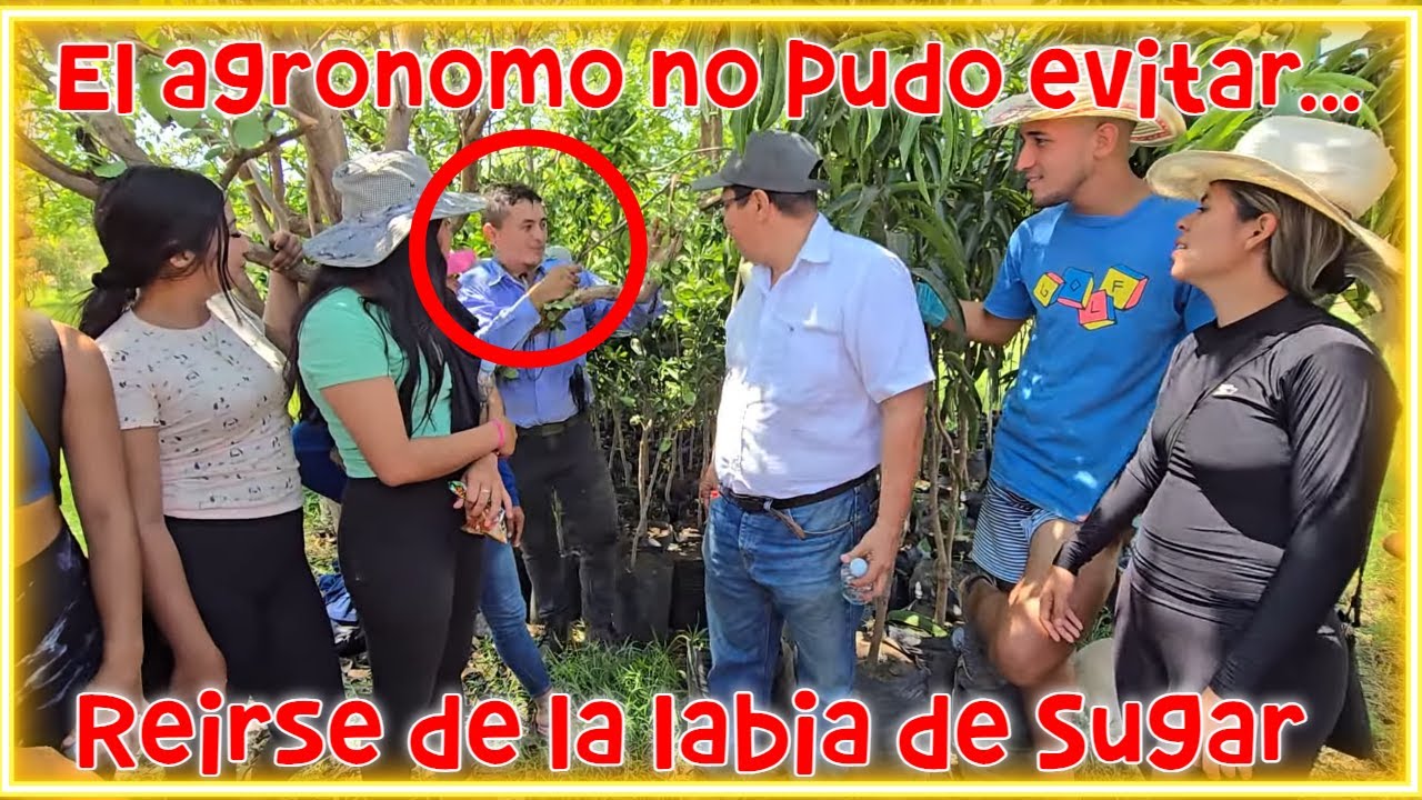 Sugar le platica a Oswaldo de la plaga que le ha llegado a las plantaciones. Hasta lo llama COLEGA.