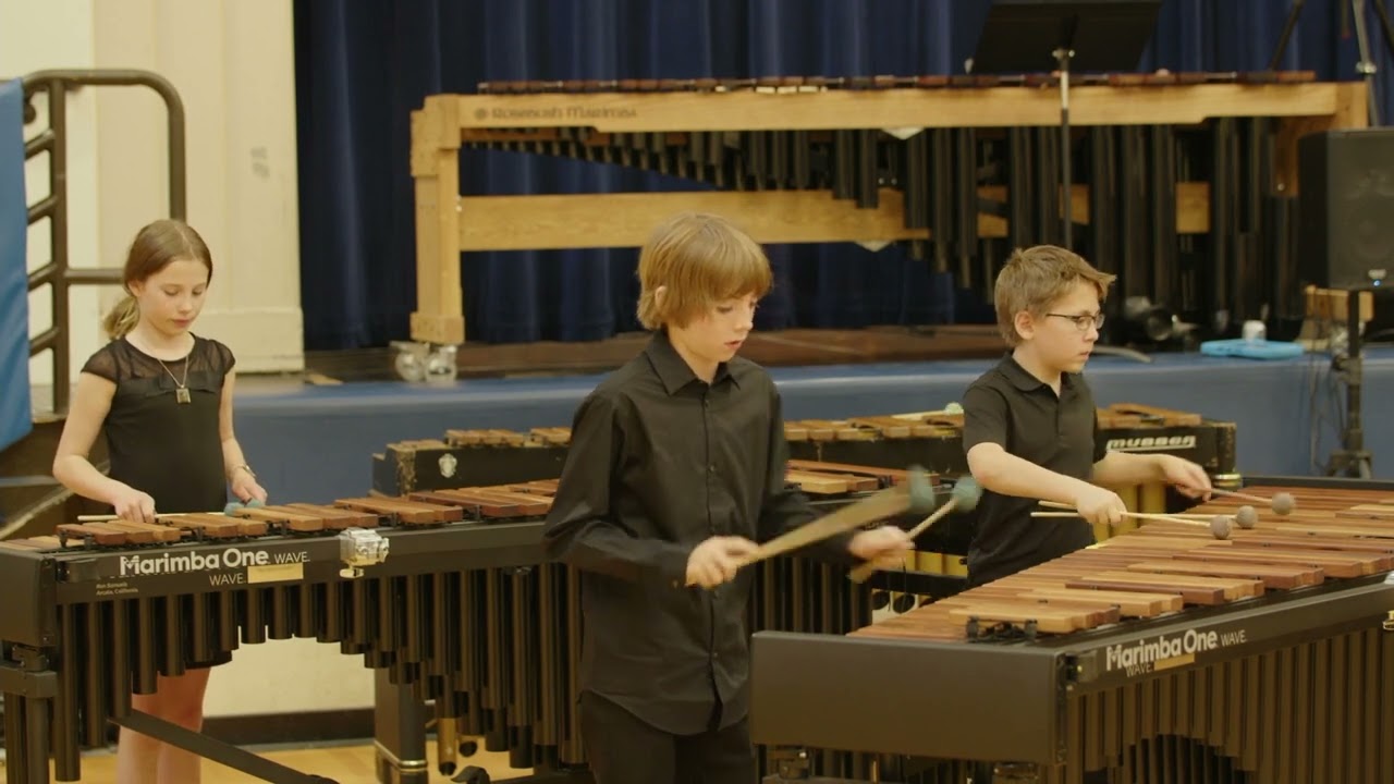 Gotye - Somebody That I Used To Know - Marimba Cover