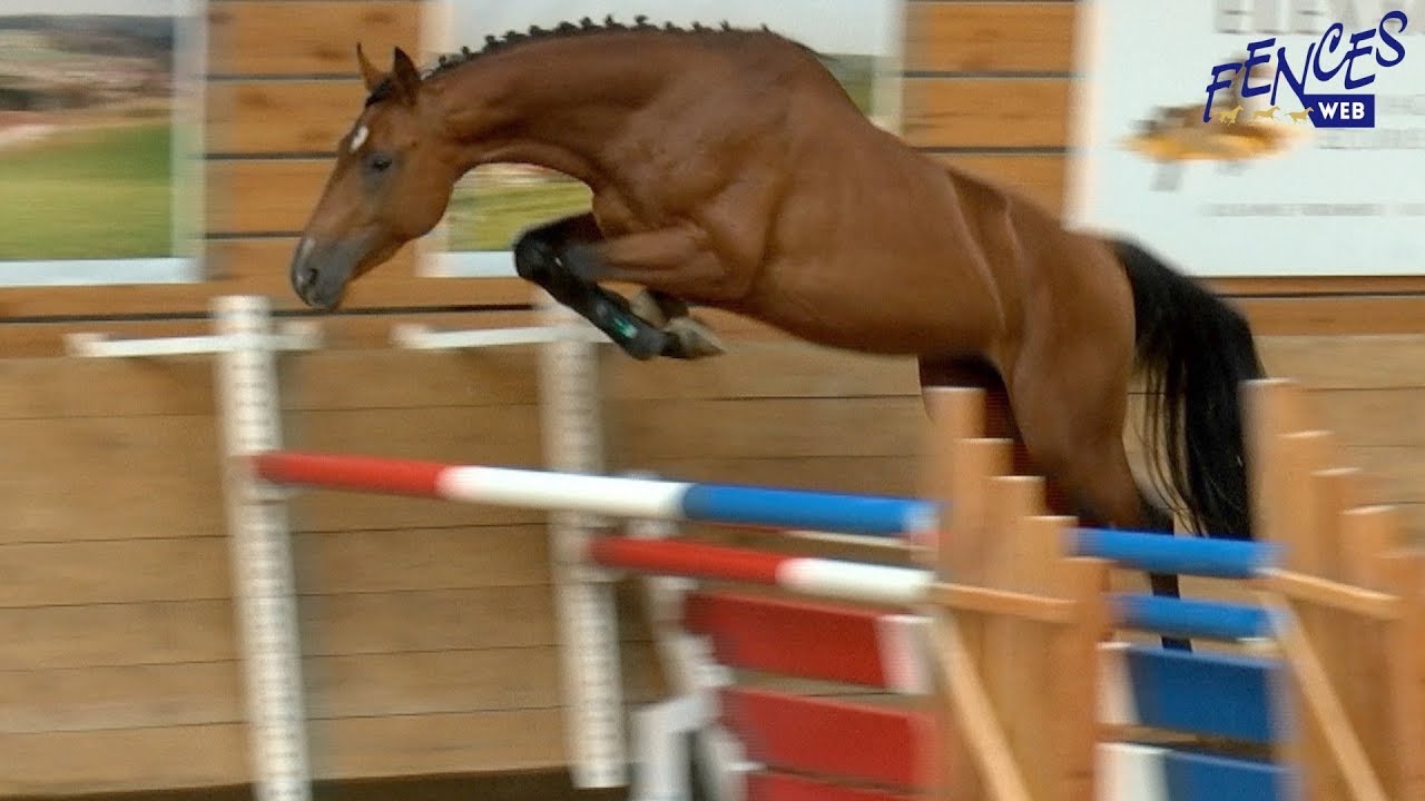 014 FIGHTER DE BRIXEY