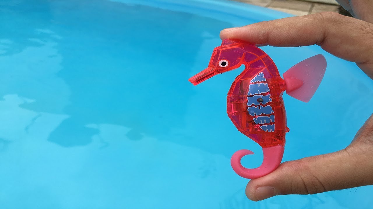 COLOQUEI UM CAVALO-MARINHO ROBÔ DENTRO DA PISCINA!!