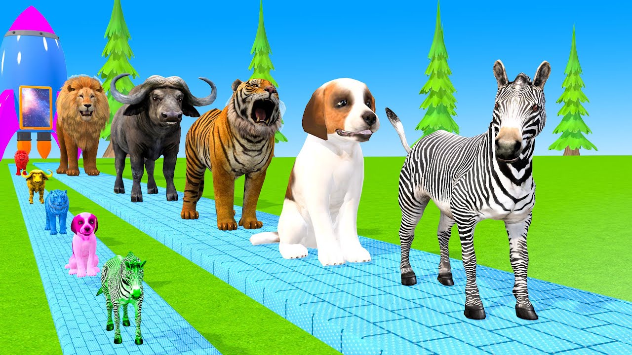 Long Slide Game With Cow Elephant Gorilla Hippopotamus Tiger 3d Animal Game Funny 3d Animals